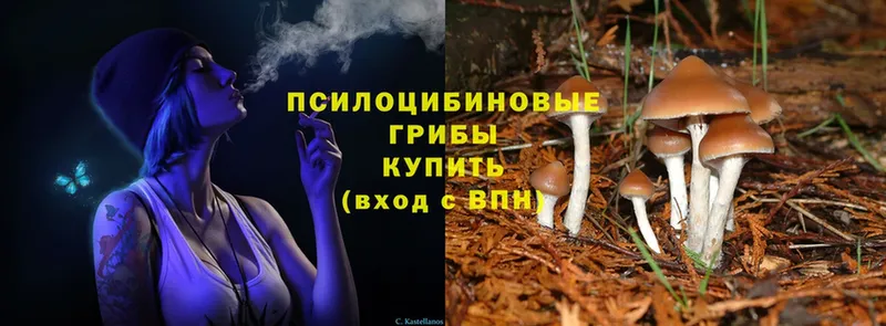 Псилоцибиновые грибы Cubensis  blacksprut зеркало  Краснозаводск 